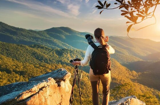 Discovery Island Kayak Tour