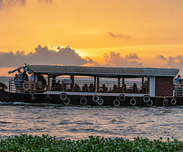 Kerala Nature Escape – Munnar, Thekkady & Alleppey